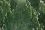 Polished Jade (Nephrite) Palm Stone - Afghanistan #221011-1